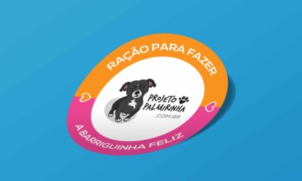 Adesivos versáteis para divulgação